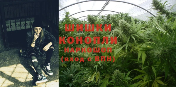 гашик Каменногорск