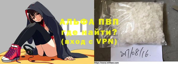 гашик Каменногорск