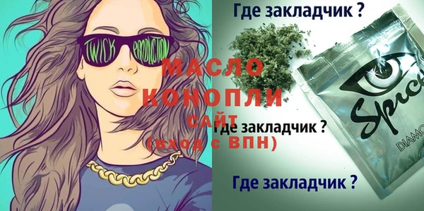 гашик Каменногорск
