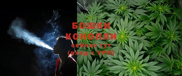 прущие крисы Каменка