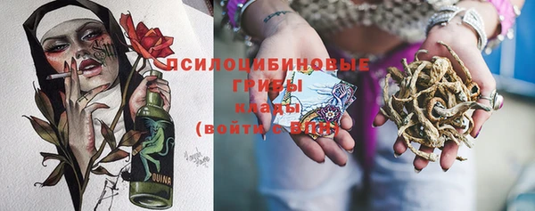 прущие крисы Каменка
