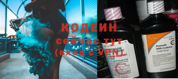 гашик Каменногорск