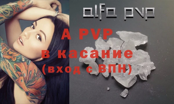 гашик Каменногорск