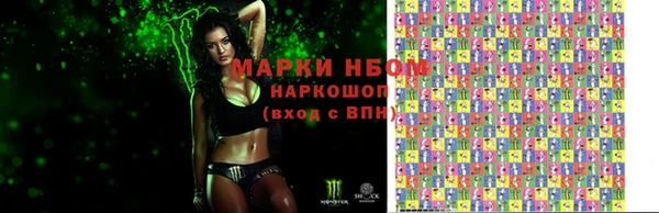 гашик Каменногорск