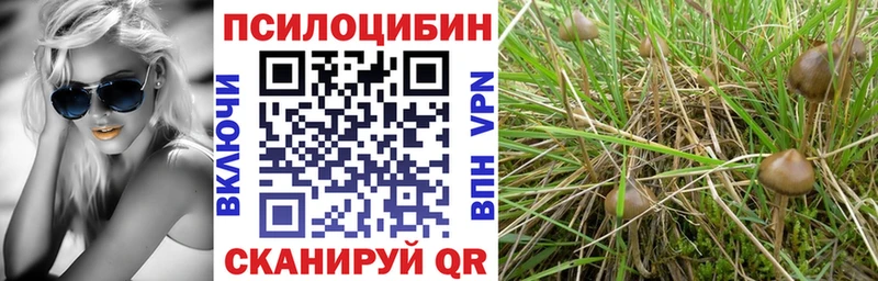 Купить закладки  Ленинск  Галлюциногенные грибы Magic Shrooms 